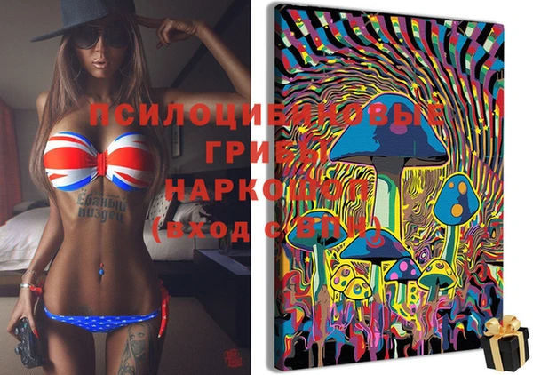 ГАЛЛЮЦИНОГЕННЫЕ ГРИБЫ Арсеньев