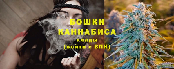 ГАЛЛЮЦИНОГЕННЫЕ ГРИБЫ Арсеньев
