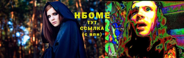 ГАЛЛЮЦИНОГЕННЫЕ ГРИБЫ Арсеньев